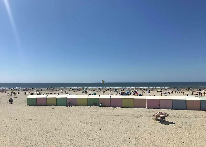 Appartement A 30 M De La Plage - Balcon - Lumineux - Wifi - Le Ceres 2